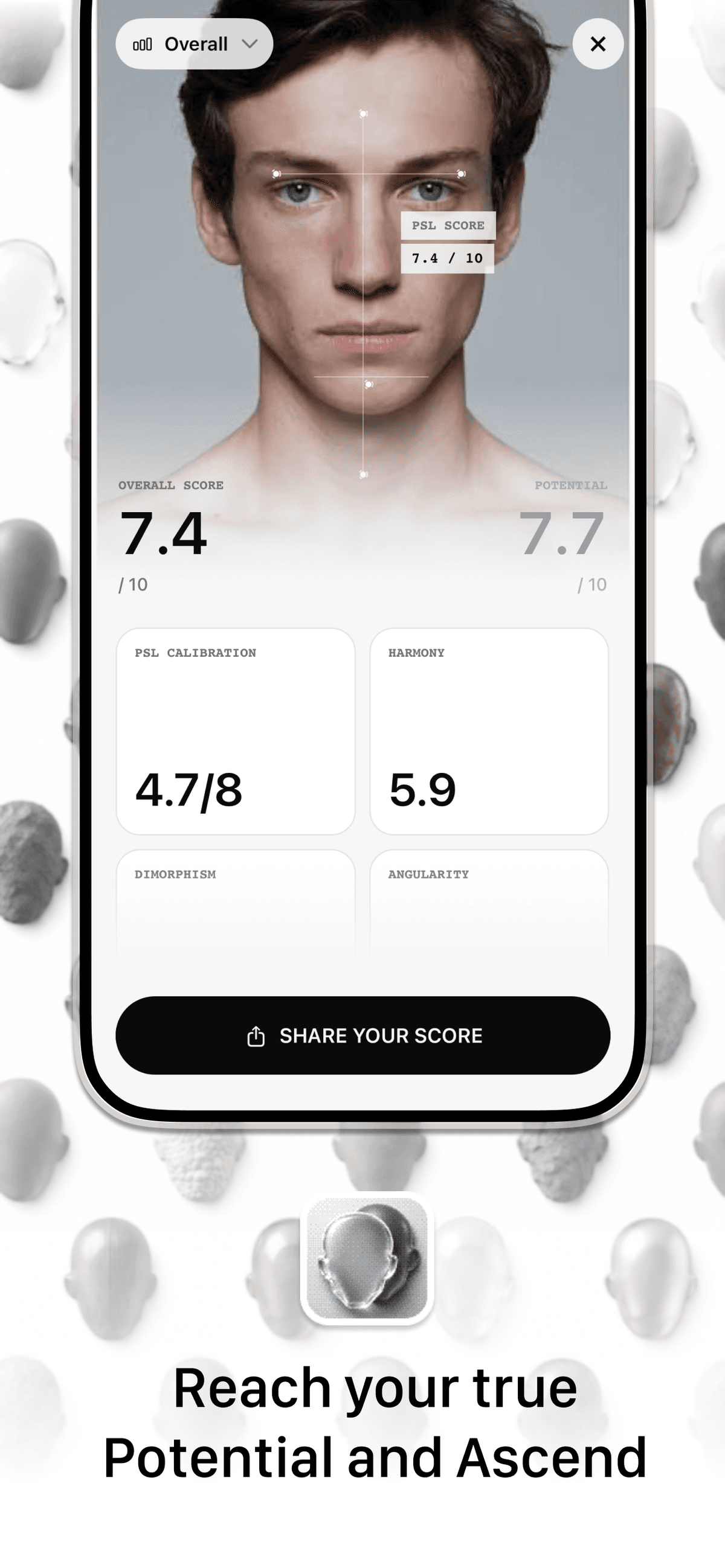 Mogging Cell Mogging App | Face Analysis and Improvement Protocol